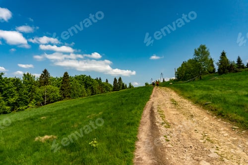 Preview: Tourist path leading through the forest.