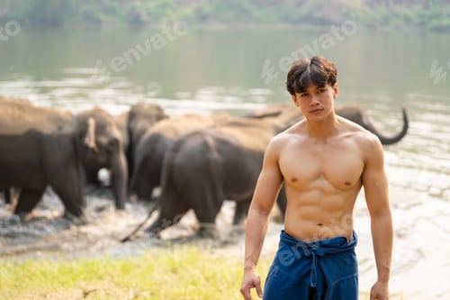 Preview: Asian elephants in the park with young man