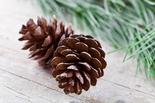 Preview: christmas fir tree with pinecones