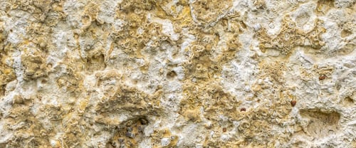 Preview: light limestone with interesting texture visible. background