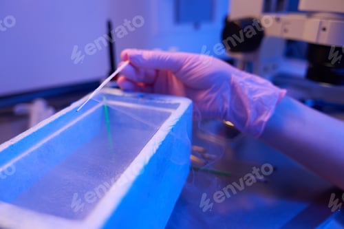 Preview: Lab researcher performing cryopreservation of biological samples