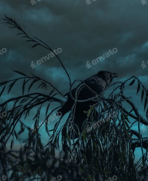 Preview: Vertical closeup shot of a scary black Haloween-themed crow against the cloudy dark sky