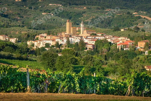 Preview: Vinci village, Leonardo Da Vinci birthplace and vineyards. Florence, Tuscany Italy