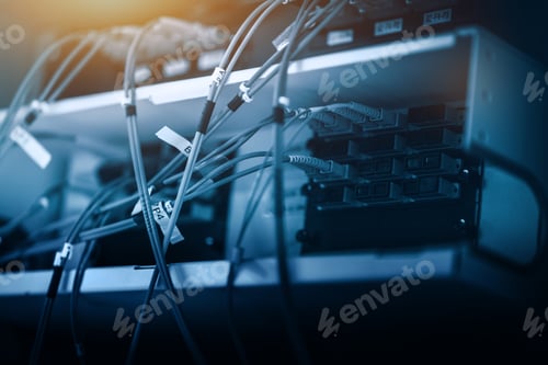 Preview: Fibre cable connected to patch. Telecommunication concept.