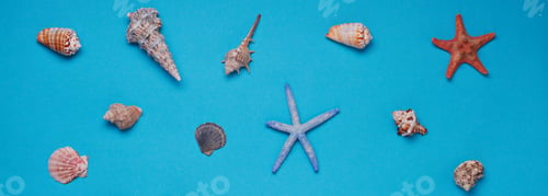 Preview: Different seashells on blue background