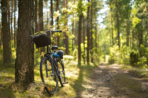 Preview: Bike in the forest
