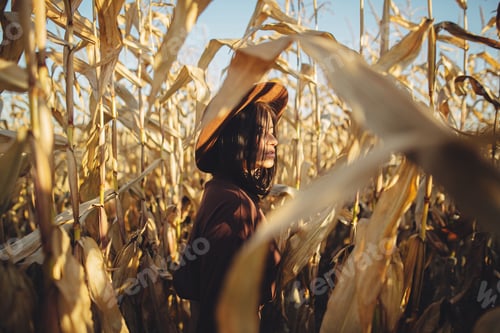 Preview: Stylish woman in hat and brown clothes posing in autumn maize field in warm sunny light