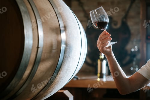 Preview: Wine Expert Inspecting Red Wine Glass in Cellar
