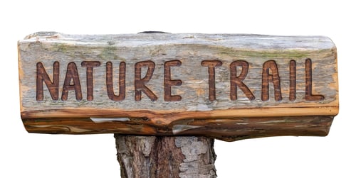 Preview: Rustic Wooden Nature Trail Sign