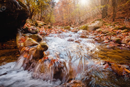 Preview: small river on autumn sunny day.
