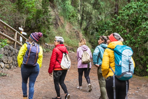 Preview: Group of women with different ages and ethnicities having fun walking in the woods