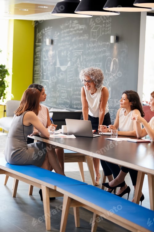 Preview: Informal meeting of female work colleagues, vertical