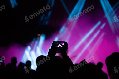 Preview: Crowd at concert - summer music festival