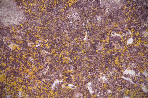 Preview: Wall Background Image There Is A Place For Recording