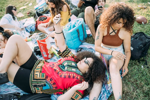 Preview: Group of friends relaxing at picnic in park