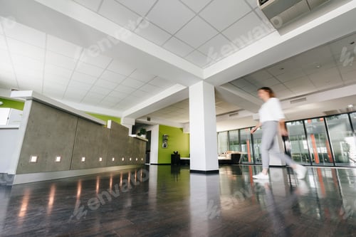 Preview: Businesswoman entering reception, blurred motion
