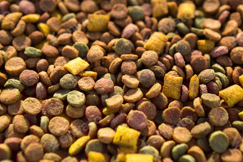 Preview: Dry food for cats and dogs close - up-a background of round pellets and pillows