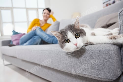 Preview: Germany, Bavaria, Munich, Mid adult woman with cat on couch, smiling
