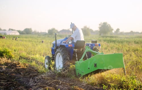 Preview: Farmer on a tractor digs out potatoes from soil. Extract root vegetables to surface. Farming
