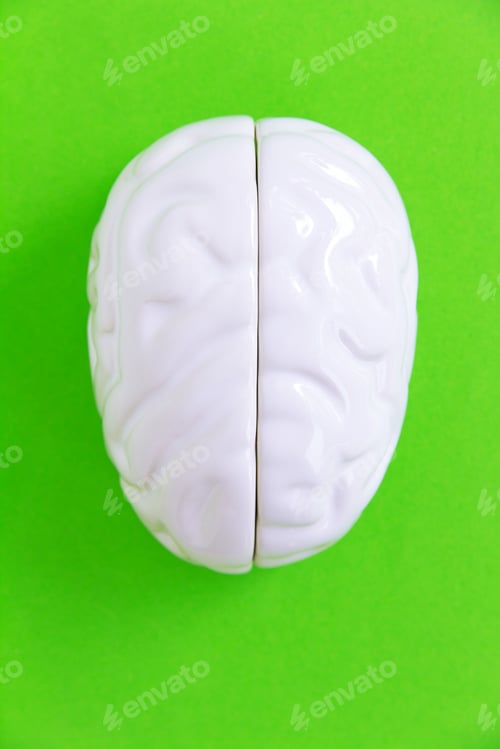 Preview: Brain concept
