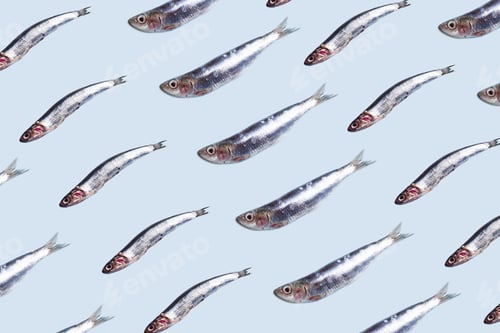 Preview: Anchovies fish pattern on trendy color background
