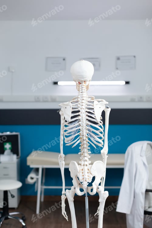 Preview: Back shot of human body skeleton standing in empty hospital office room