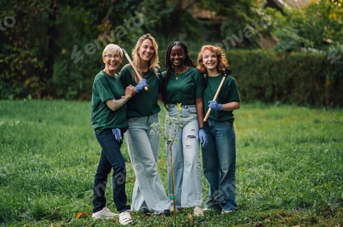 Preview: Group of diverse women volunteers planting trees in the park