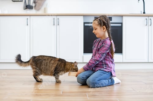 Preview: Girl Gives Cat Food in Kitchen Setting