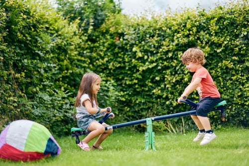 Preview: Two kids enjoying a seesaw game in a sunny backyard