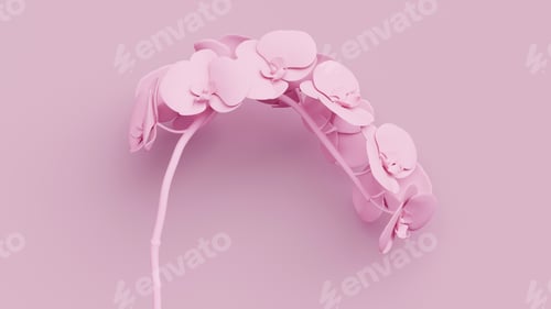 Preview: Pink matte orchids