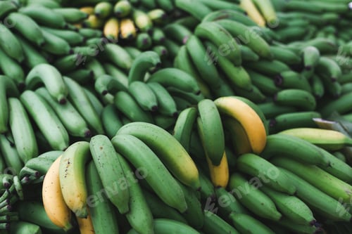 Preview: close-up shot of pile of fresh green bananas branches selling on market
