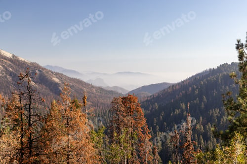 Preview: Mountain landscape in Yosemite National Park