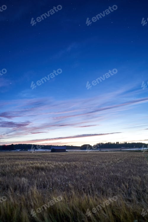 Preview: Tranquil night sky with a starlit sky illuminated above a sweeping grassy field