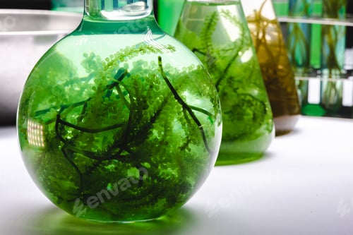 Preview: Photo bioreactor laboratory, green algae biofuel industry, fuel plant treatment research industrial