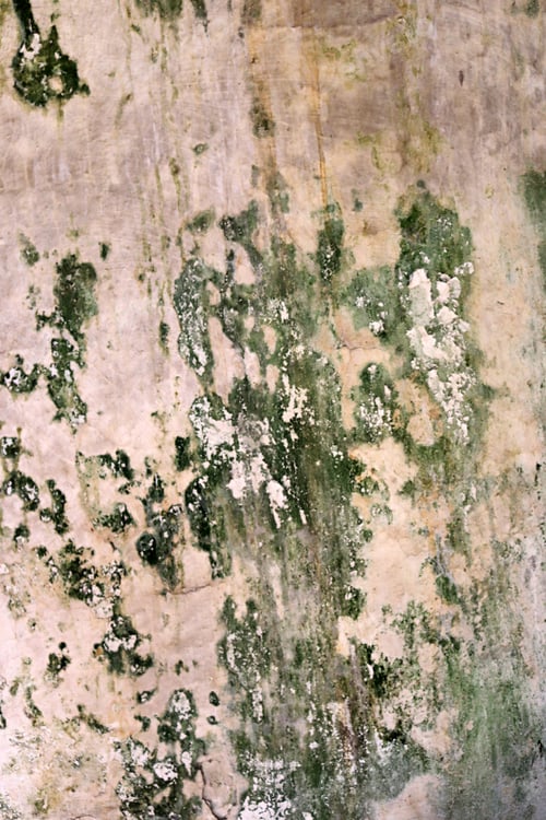 Preview: Grunge wall of the old house. Textured background