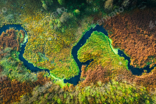 Preview: Top down view of river and swamps in autumn, Poland