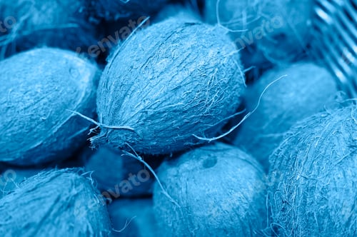 Preview: a pile of fruits coconut as background. toned classic blue color