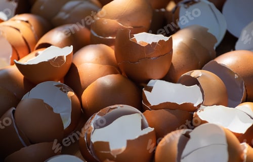 Pile of Broken Brown Egg Shells Close-Up