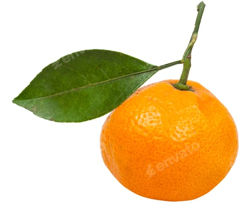 Preview: fresh ripe abkhazian mandarin with leaf isolated