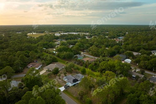 Preview: Aerial landscape view of suburban private houses between green palm trees in Florida rural area