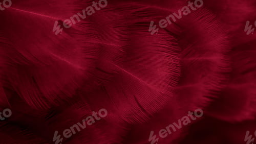 Preview: macro photo of red hen feathers. background or textura