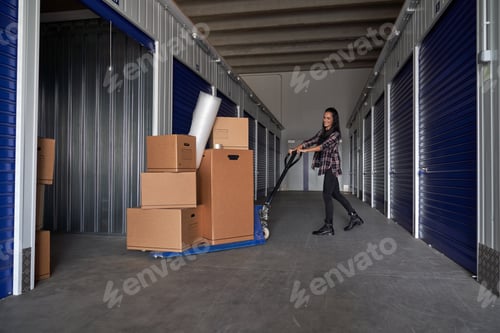 Preview: Content woman rolling carton boxes into container