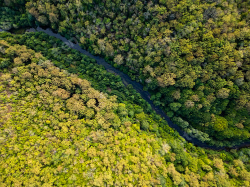Preview: A mesmerizing aerial drone view flying above a dense green forest with rocky cliffs and a hidden