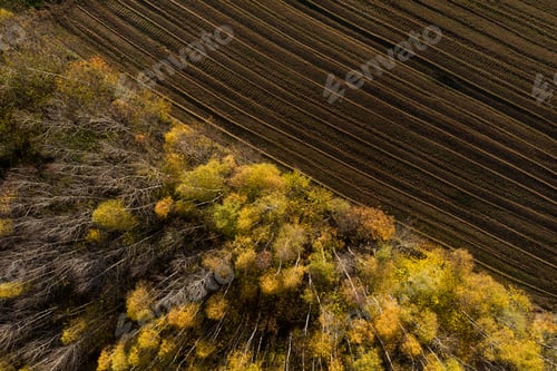 Preview: Aerial view of deforestation area for agricultural land by drone