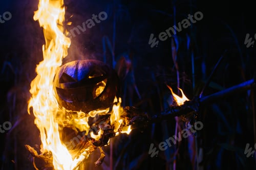 Preview: Burning Halloween Scarecrow in a cornfield at night. Halloween holiday concept.