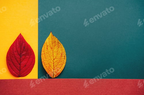 Preview: Red, yellow and orange autumn leaves on dark green background.