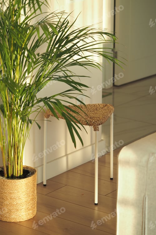 Preview: Indoor plant and small wicker stool by the wall