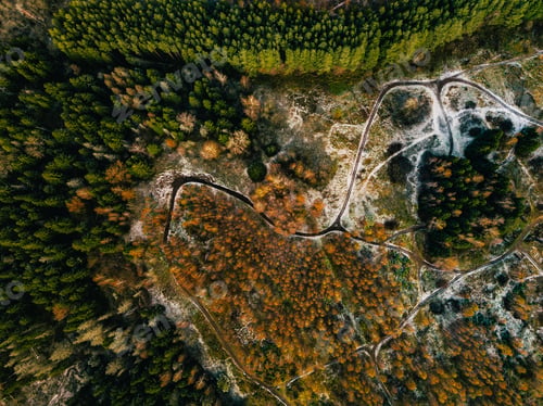 Preview: Aerial view of road in autumn forest. Fall landscape with rural road, red, yellow trees with frost.