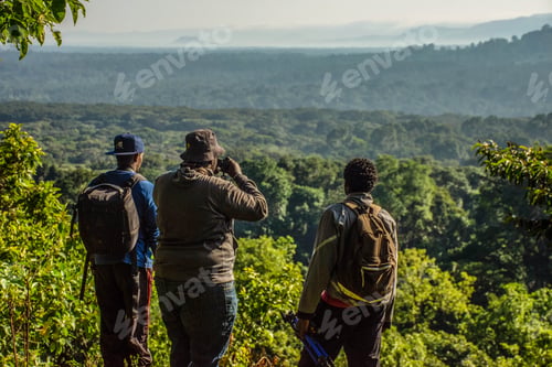 Preview: A hike in the rain forest