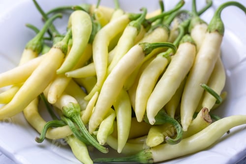 Preview: Fresh and organic yellow colored small hot peppers